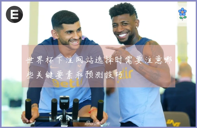 世界杯下注网站选择时需要注意哪些关键要素和预测技巧