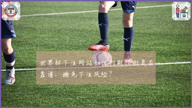世界杯下注网站如何判断预测是否靠谱，避免下注风险？