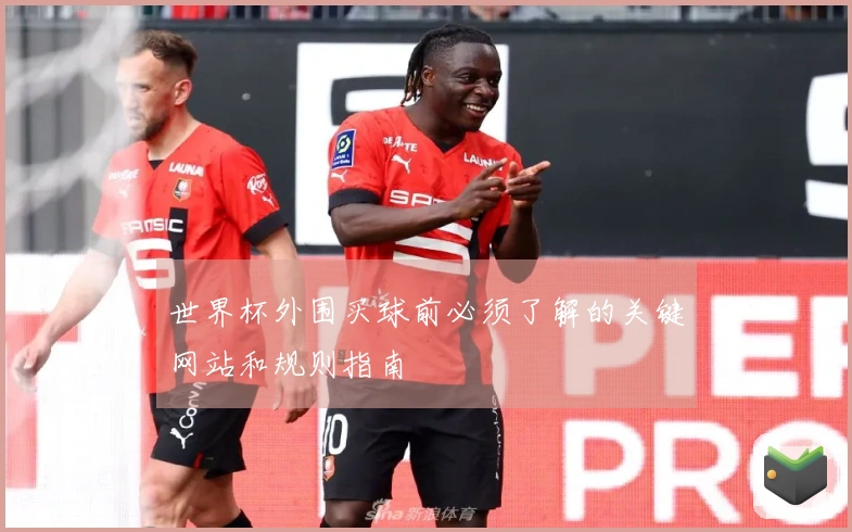 世界杯外围买球前必须了解的关键网站和规则指南