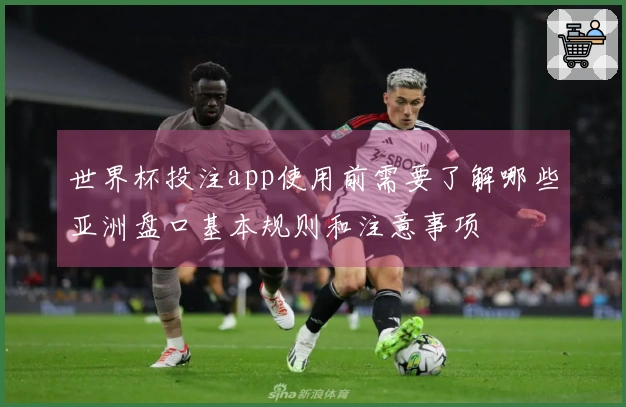 世界杯投注app使用前需要了解哪些亚洲盘口基本规则和注意事项