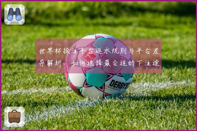 世界杯投注平台返水规则与平台差异解析，如何选择最合适的下注途径？